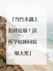 当竹木遇上掐丝珐琅！这所学校捧回省级大奖