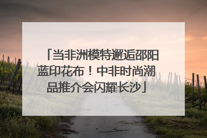 当非洲模特邂逅邵阳蓝印花布！中非时尚潮品推介会闪耀长沙