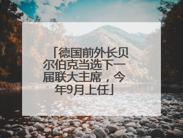 德国前外长贝尔伯克当选下一届联大主席，今年9月上任