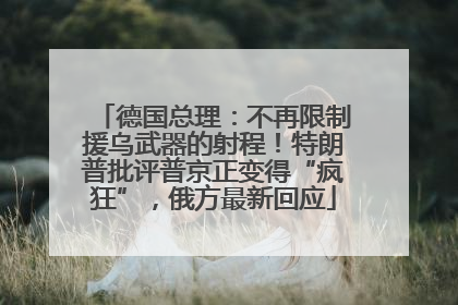 德国总理：不再限制援乌武器的射程！特朗普批评普京正变得“疯狂”，俄方最新回应