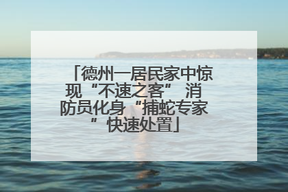 德州一居民家中惊现“不速之客” 消防员化身“捕蛇专家”快速处置