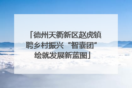 德州天衢新区赵虎镇聘乡村振兴“智囊团” 绘就发展新蓝图