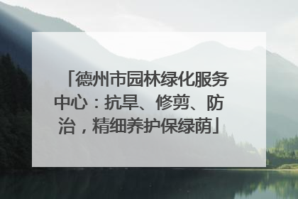 德州市园林绿化服务中心：抗旱、修剪、防治，精细养护保绿荫
