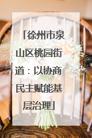 徐州市泉山区桃园街道：以协商民主赋能基层治理