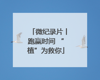 微纪录片丨跑赢时间 “植”为救你