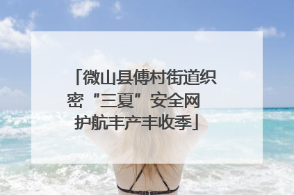 微山县傅村街道织密“三夏”安全网 护航丰产丰收季