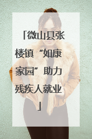 微山县张楼镇“如康家园”助力残疾人就业