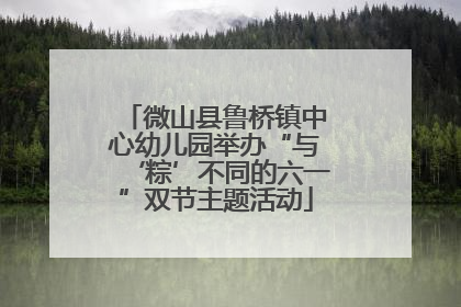 微山县鲁桥镇中心幼儿园举办“与‘粽’不同的六一”双节主题活动