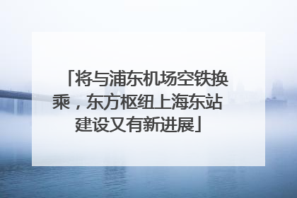 将与浦东机场空铁换乘，东方枢纽上海东站建设又有新进展