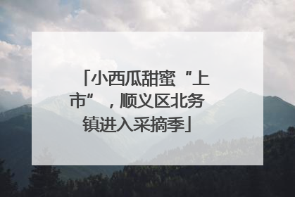 小西瓜甜蜜“上市”，顺义区北务镇进入采摘季