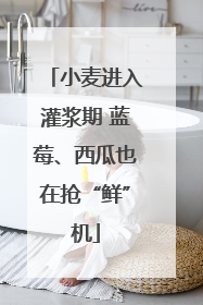小麦进入灌浆期 蓝莓、西瓜也在抢“鲜”机
