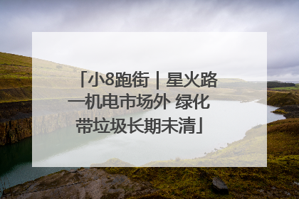 小8跑街｜星火路一机电市场外 绿化带垃圾长期未清