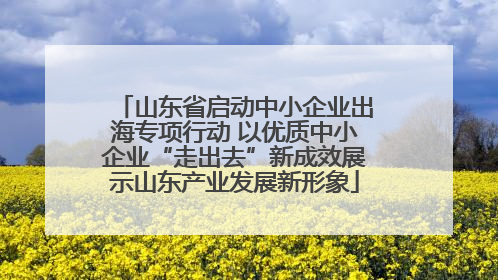 山东省启动中小企业出海专项行动 以优质中小企业“走出去”新成效展示山东产业发展新形象