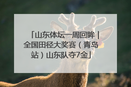 山东体坛一周回眸｜全国田径大奖赛（青岛站）山东队夺7金