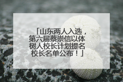 山东两人入选，第六届蔡崇信以体树人校长计划提名校长名单公布！