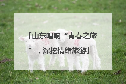 山东唱响“青春之旅”，深挖情绪旅游