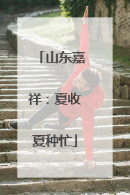 山东嘉祥：夏收夏种忙