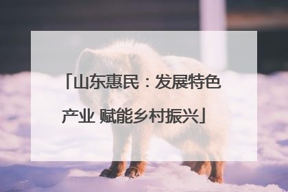 山东惠民：发展特色产业 赋能乡村振兴