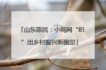 山东惠民：小绳网“织”出乡村振兴新图景