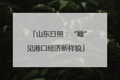 山东日照：“瞰”见港口经济新样貌