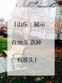 山东：展示在地头 选种有准头