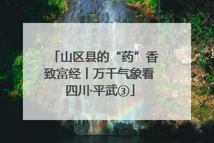 山区县的“药”香致富经丨万千气象看四川·平武③