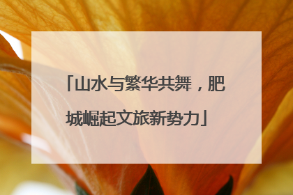 山水与繁华共舞，肥城崛起文旅新势力