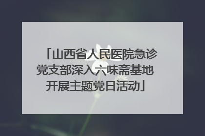 山西省人民医院急诊党支部深入六味斋基地开展主题党日活动