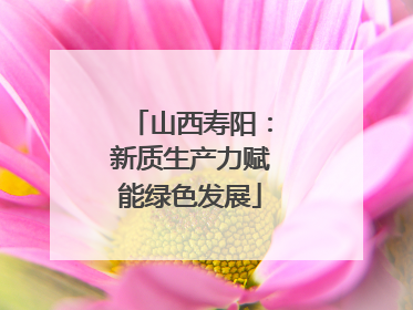 山西寿阳：新质生产力赋能绿色发展