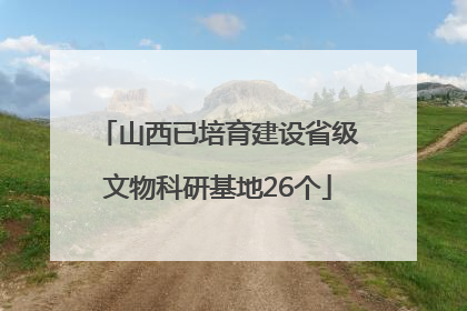 山西已培育建设省级文物科研基地26个