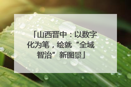 山西晋中：以数字化为笔，绘就“全域智治”新图景