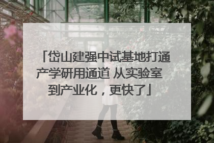 岱山建强中试基地打通产学研用通道 从实验室到产业化，更快了