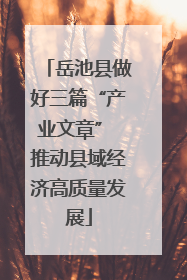 岳池县做好三篇“产业文章” 推动县域经济高质量发展
