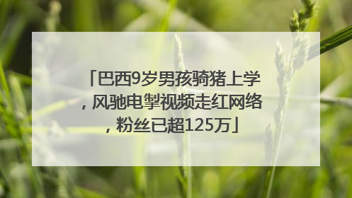 巴西9岁男孩骑猪上学，风驰电掣视频走红网络，粉丝已超125万