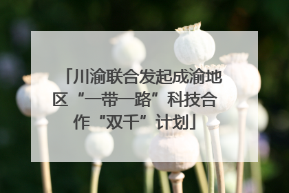 川渝联合发起成渝地区“一带一路”科技合作“双千”计划