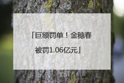 巨额罚单！金穗春被罚1.06亿元
