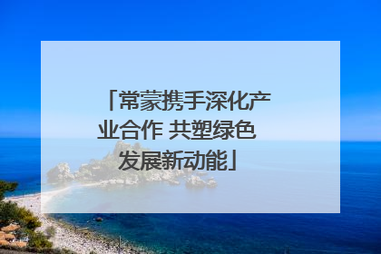 常蒙携手深化产业合作 共塑绿色发展新动能