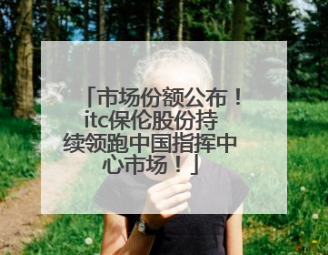 市场份额公布！itc保伦股份持续领跑中国指挥中心市场！
