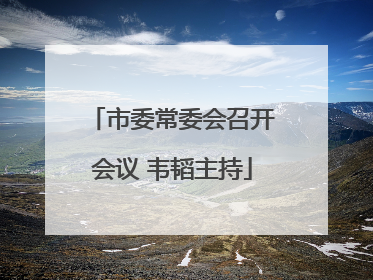 市委常委会召开会议 韦韬主持