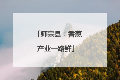 师宗县：香葱产业一路鲜