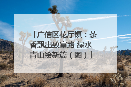 广信区花厅镇：茶香飘出致富路 绿水青山绘新篇（图）