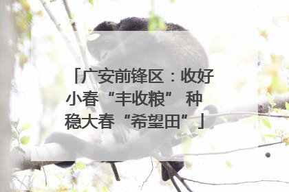 广安前锋区：收好小春“丰收粮” 种稳大春“希望田”