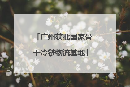 广州获批国家骨干冷链物流基地