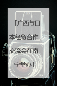 广西与日本经贸合作交流会在南宁举办