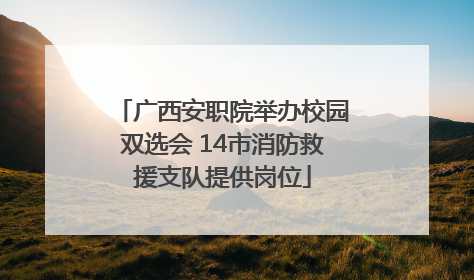 广西安职院举办校园双选会 14市消防救援支队提供岗位