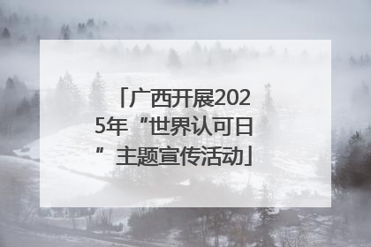 广西开展2025年“世界认可日”主题宣传活动