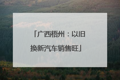 广西梧州：以旧换新汽车销售旺