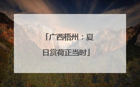 广西梧州：夏日赏荷正当时