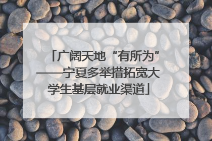 广阔天地“有所为”——宁夏多举措拓宽大学生基层就业渠道