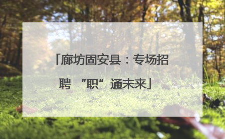 廊坊固安县：专场招聘 “职”通未来